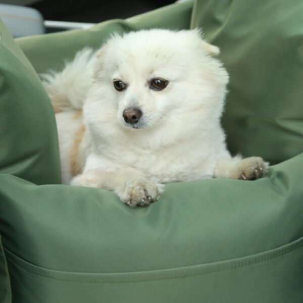 Car Nest Car Home Dual-use Adjustable Dogs And Cats Car Cushion