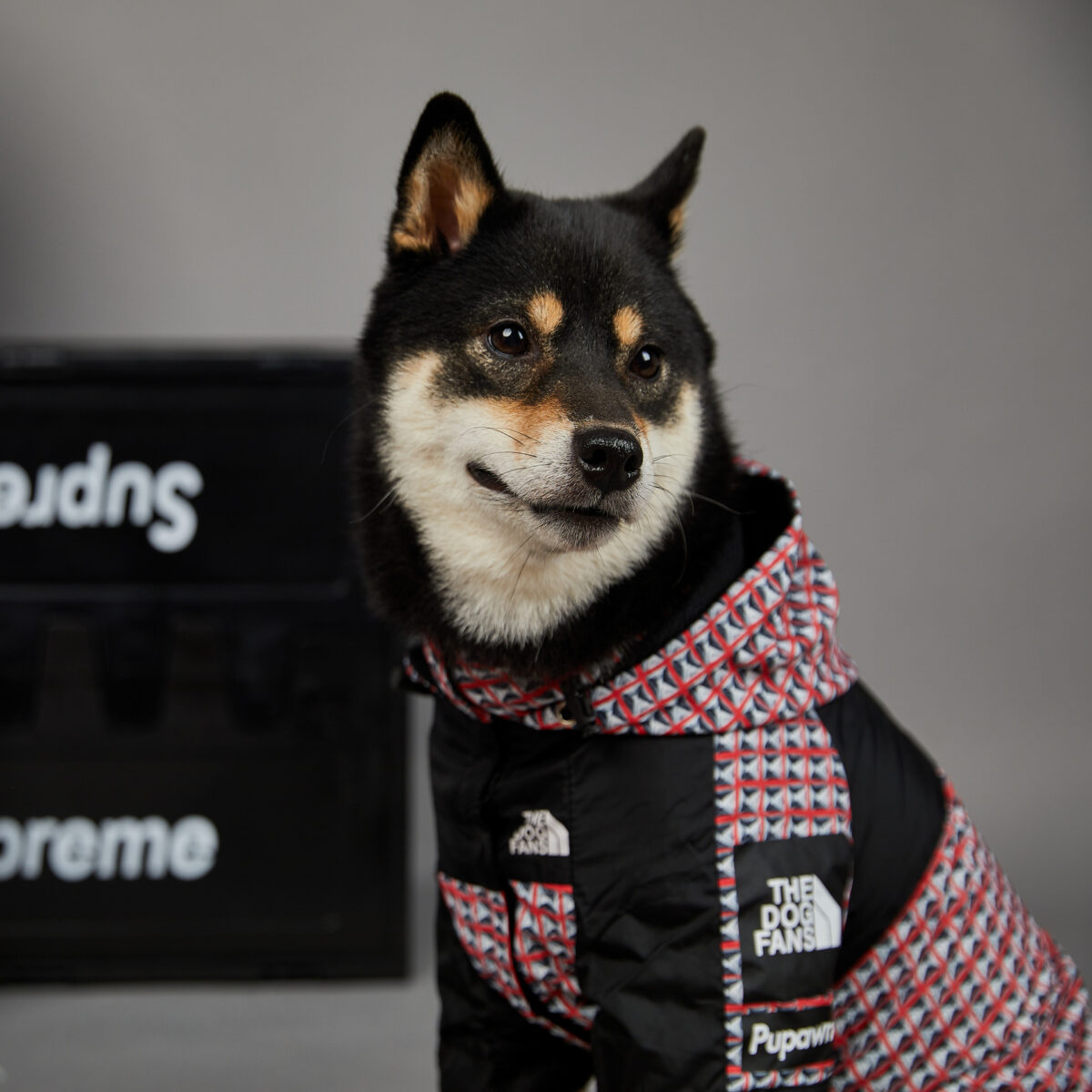 Fashion Brand Windproof And Rainproof New Dog Raincoat Shell Jacket - Image 2