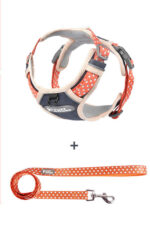 The Dog's Chest Strap Is Out For Walking The Dog - Image 5