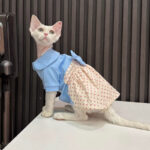 Hairless Cat Polka Dot Bow Skirt - Image 4