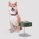 Pet cat and dog camping bowl - Image 3