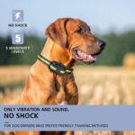 Barking Dog Collar - Image 3