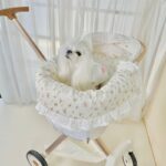 Pet Stroller Anti-dirty Towel Cushion Pillow Pure Cotton Three-piece Set For Cats And Dogs Removable And Washable Pad - Image 3