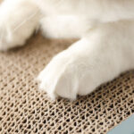 Cat Climbing Frame Scratching Board Toy Corrugated Paper Grinding Claws - Image 4