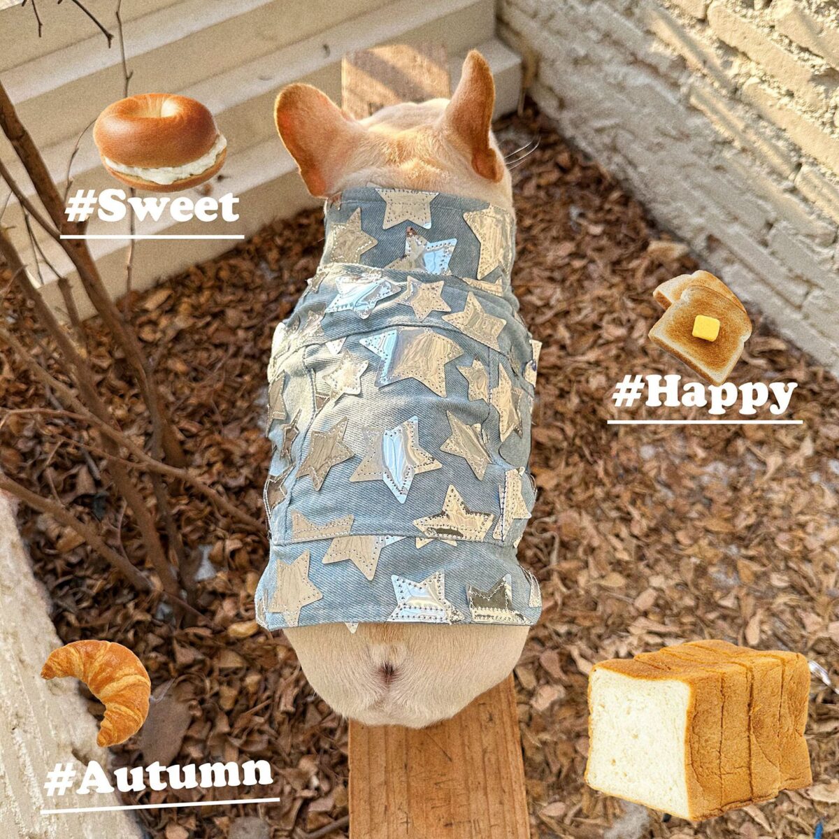 Pet Cat And Dog Summer Thin Denim Vest Jacket - Image 7