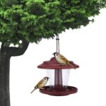 Plastic transparent bird feeder - Image 4