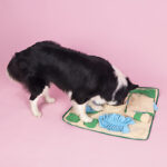 Snuffle Mat for Dogs, Nosework Feeding Blanket Sniffing Pad for Interactive Games, Foraging Puzzle Enrichment Toys for Large Small Medium Pets