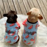 Spring And Autumn Thin Short Sleeve Dog Cotton Clothes - Image 2