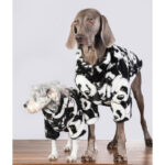 Winter Warm Thick Padded Coat For Pet Cats And Dogs - Image 5