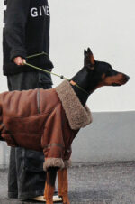 Winter Plus Velvet Pet Lapel Leather Coat For Big Dogs - Image 2