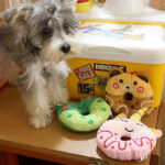 Teddy VIP Bichon Small And Medium Cat Dog Cross-border Accompany Plush Donut Sound Toy - Image 6