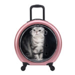Pet Trolley Bag Transparent Reinforced Portable PC Cat Bag Dog Out - Image 5