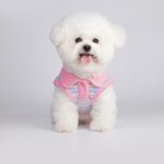 Small Dog Pet Cat Autumn Vest - Image 6