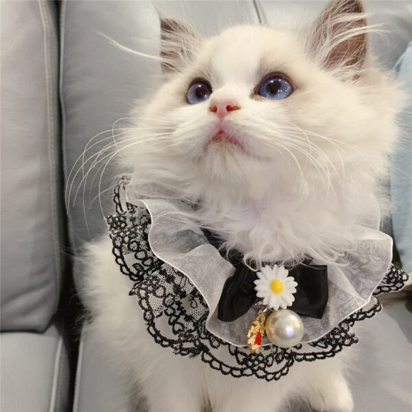Black Little Fairy Pet Slobber Lace Scarf
