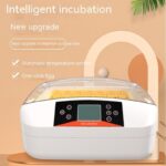 Smart Household Chicken Breeding Egg Incubator - Image 6