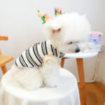 Clothing Traction Vest Pet Dog - Image 3