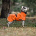 Pet Dog Small And Medium-sized Dogs Waterproof Universal Poncho - Image 9