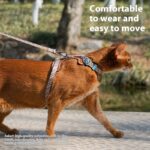 Dog Harness Anti Loose Adjustable Dog Leash - Image 4