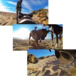 Dog Harness Chest Strap Camera Accessory For Dualuse Back On Chest - Image 5