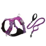 Large Pet Walking Dog Traction Rope Chest Strap - Image 4