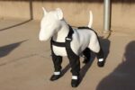DOGGIE STRAP PAW PROTECTORS Out Dog Shoes Pet Shoes Waterproof Non-slip - Image 5