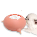 Breast Pump Pet Molar Training Silicone Tableware - Image 3