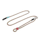 Pet Dog Fashion Minimalist Slant Leash - Image 5