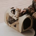 Portable And Lightweight Pet Diaper Bag Crossbody Cat Bag - Image 7