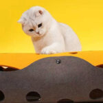 Shape-shifting Cat Nest Rolling Ground Totoro Tunnel Felt - Image 4