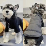 Dogs' Winter Warmth With Thick Cotton Vests - Image 6