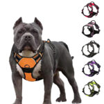 Pet Hand Holding Rope Chest And Back Nylon Dog Rope - Image 2