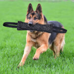 Durable Dog Bite Stick Creative Dog Tug Chew Stick For Teeth Cleaning, Ideal For Medium Breeds Stick For Interactive - Image 10
