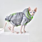 Hairless Cat Clothing With Winter Coat - Image 5