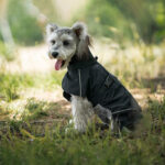 Pet Dog Small And Medium-sized Dogs Waterproof Universal Poncho - Image 4