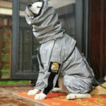 Four-legged Waterproof Full-surrounded Dog Rain Clothes - Image 3