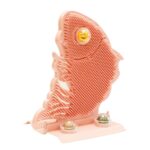 Cat Paw Board Tickle Tickler Cat Mint Ball Bell Pet Supplies Cat Cat Toys Cat Self Congratulation - Image 4