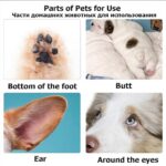 Pet hair clippers - Image 5