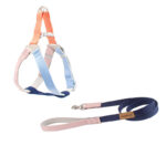 Colorful Outdoor Chest And Back Hand Holding Rope Outing Dog Leash Pet Supplies