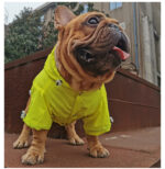 Pet reflective waterproof raincoat - Image 5
