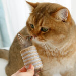 Toy With Cat Feathers Hemp Rope For Scratching Self-grinding Claw Sound Roller For Pets Bite Resistant Toy - Image 5