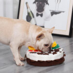 Dog birthday cake sniffing pad - Image 4