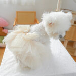 Dog Clothing Tulle Tutu Skirt Chest And Back High-end Wedding Dress - Image 6