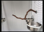 Add a stand pole to the cage for parrot birds - Image 3