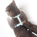 Slipping cat rope - Image 4