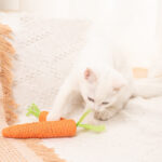 Cat Toys Carrot Bites Paper Toys Ringing Stones Cat Sticks Self Hi Tooth Grinding Sticks Interactive Pet Products - Image 7
