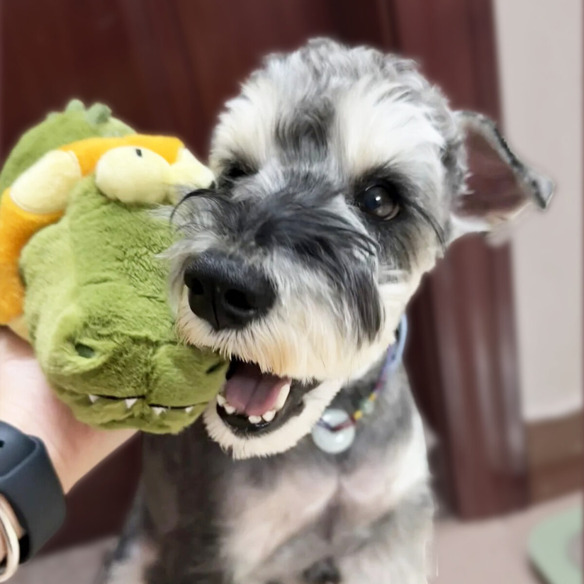 Dog Electric Sound Plush Toy For Small And Medium-sized Dogs - Image 2