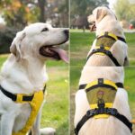 Waterproof Dog Harness Reflective Pet Puppy Vest Harness No Pull - Image 5