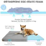 Double-sided Four Seasons Dog Bed For Medium Small Dog Waterproof Bite Resistant Leather Removable Dog Crate Bed Summer Pet Mats - Image 3