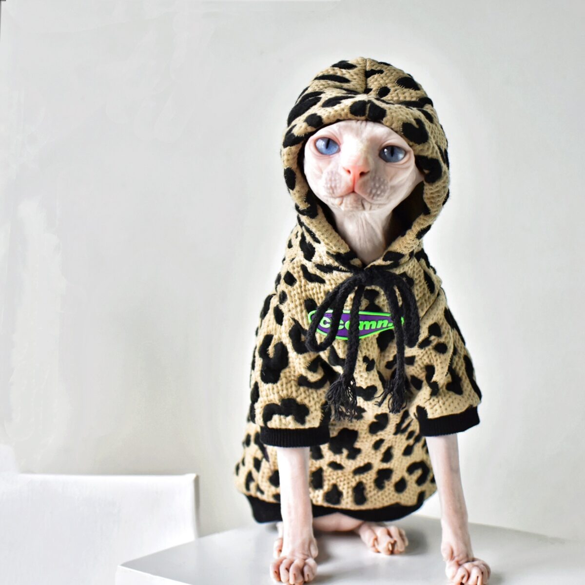 Light Pet Cotton Camouflage Sweater Hairless Cat - Image 3
