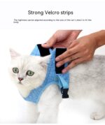 Vest-style Chest Strap Explosion-proof Slip Cat Rope - Image 10